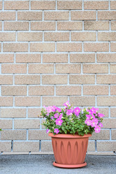 Similar image 22585874