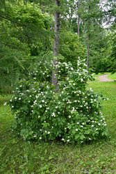 Similar image 22585888