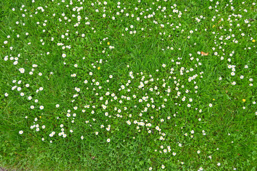 Similar image 22585708