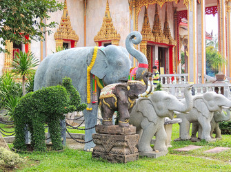 Similar image 22594772