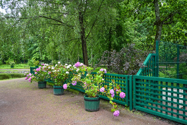 Similar image 22585764