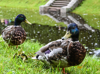 Similar image 22585765