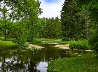 Similar image 22585800