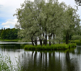 Similar image 22585819