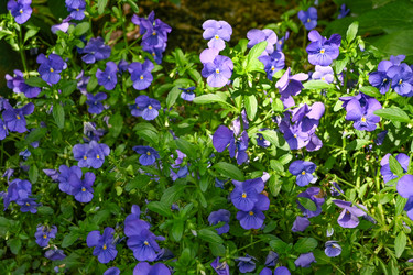 Similar image 22585820