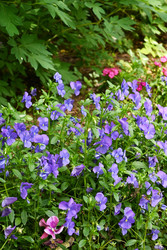 Similar image 22585831