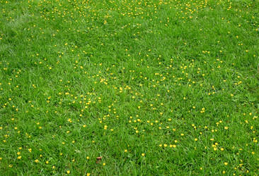 Similar image 22585846