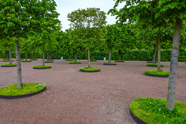 Similar image 22585847