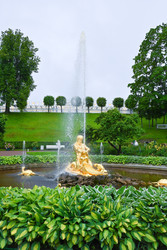 Similar image 22585848