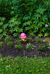 Similar image 22585849