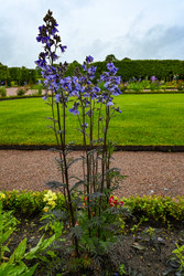 Similar image 22580952