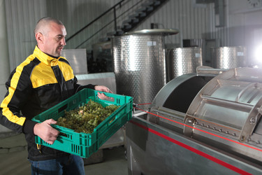 Similar image 22554412