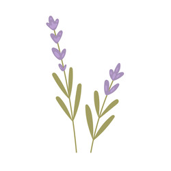 Similar image 22519044