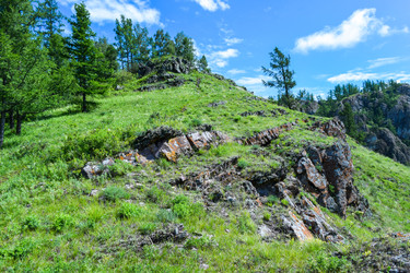 Similar image 22497668