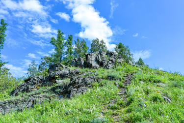 Similar image 22497671