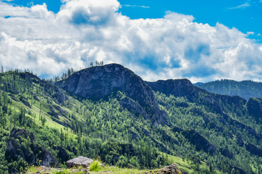 Similar image 22497674