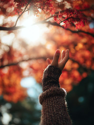 Similar image 22534655