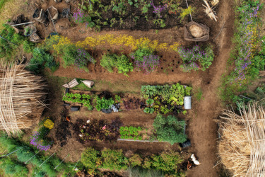 Similar image 22534662