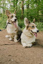 Similar image 22593206