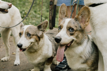 Similar image 22593207