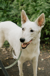 Similar image 22593218