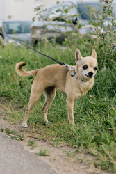 Similar image 22593219