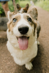 Similar image 22593220