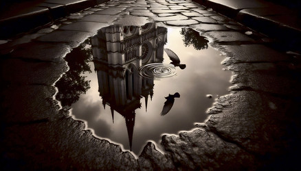 Similar image 22517815