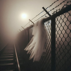 Similar image 22518602