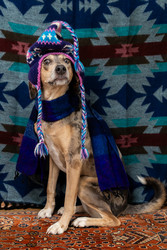 Similar image 22593233