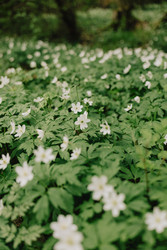 Similar image 22593234