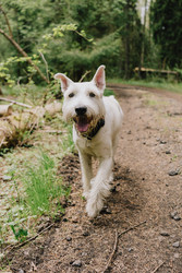 Similar image 22593235