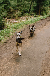 Similar image 22593236