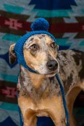 Similar image 22593237