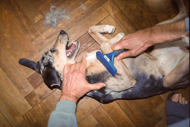 Similar image 22593238