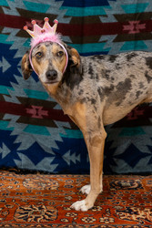 Similar image 22593240