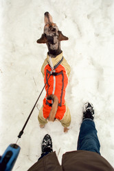 Similar image 22593249