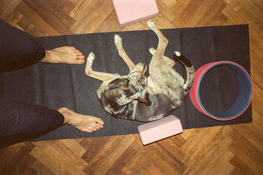 Similar image 22593250