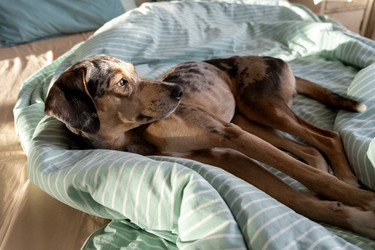 Similar image 22593251