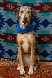 Similar image 22593252