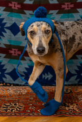 Similar image 22593254