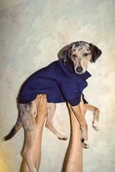 Similar image 22593256