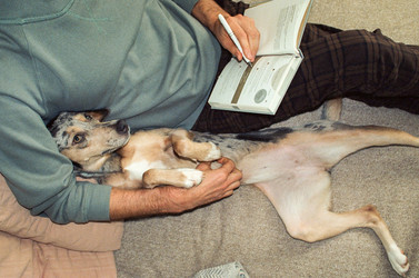 Similar image 22593263