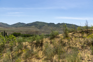 Similar image 22488108