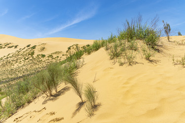 Similar image 22527674