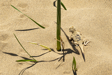 Similar image 22527681