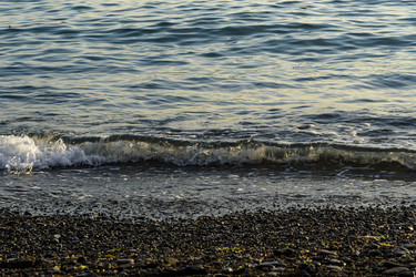 Similar image 22527685