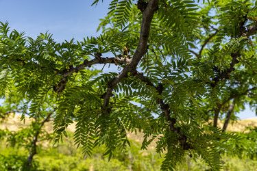 Similar image 22574998