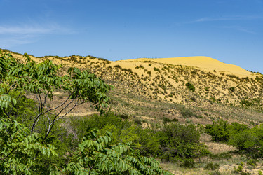 Similar image 22574999