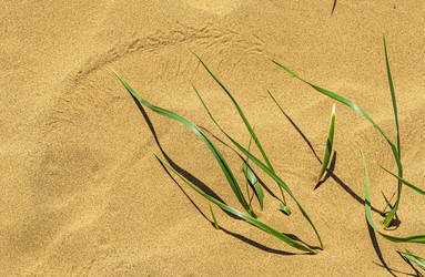 Similar image 22577184